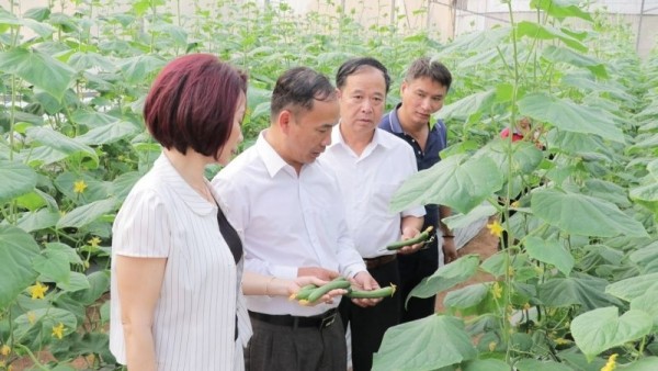 Bac Ninh promotes green, sustainable agricultural and rural development