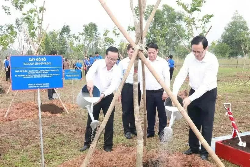 Vietnam-China friendship tree planting ceremony held in Binh Duong