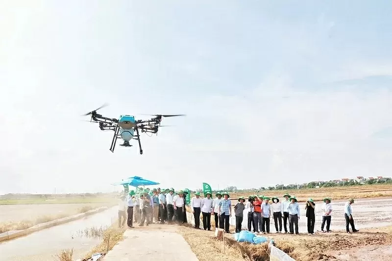 Bac Ninh promotes green, sustainable agricultural and rural development Bac Ninh promotes green, sustainable agricultural and rural development