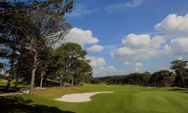 Golfers tee up for national championship titles Golfers tee up for national championship titles