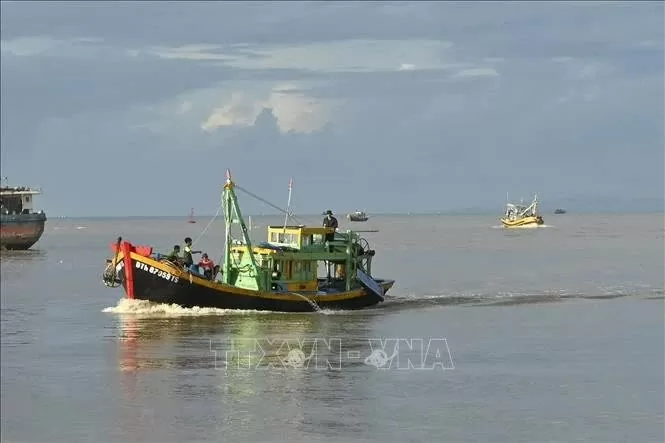Binh Thuan launches intensive campaign to combat IUU fishing