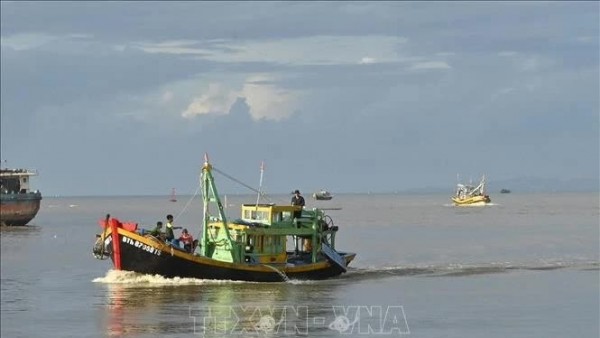South-central Binh Thuan province begins intensive campaign against IUU fishing