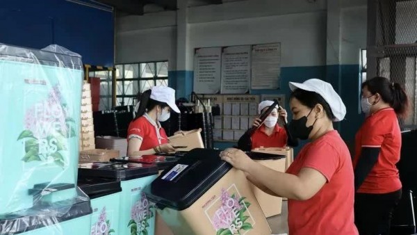 Vietnam has some 111,800 newly established and reactivated enterprises in five months