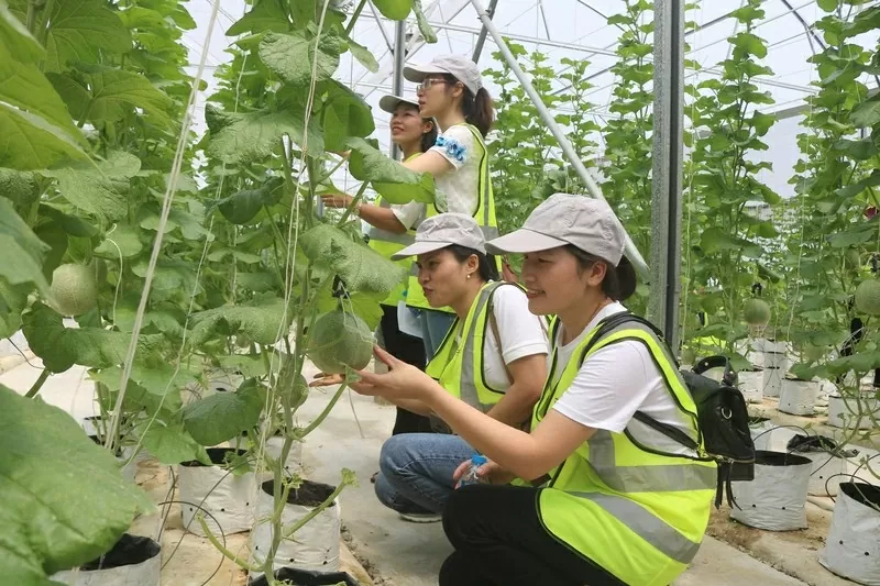 Bac Ninh:  Unlocking the 'Treasure trove' of rural tourism