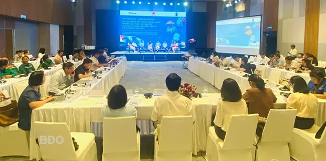 Norway-funded waste management project brings tangible changes to Binh Dinh