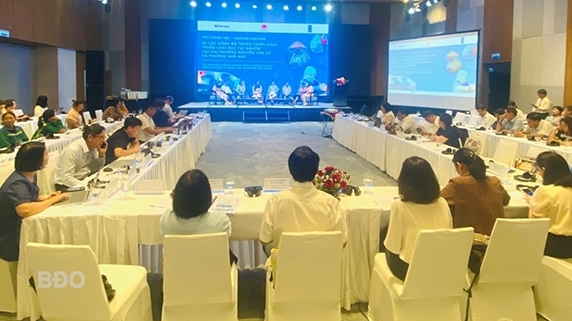 Waste management project funded by Norway brings tangible changes to Binh Dinh