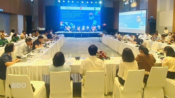 Waste management project funded by Norway brings tangible changes to Binh Dinh