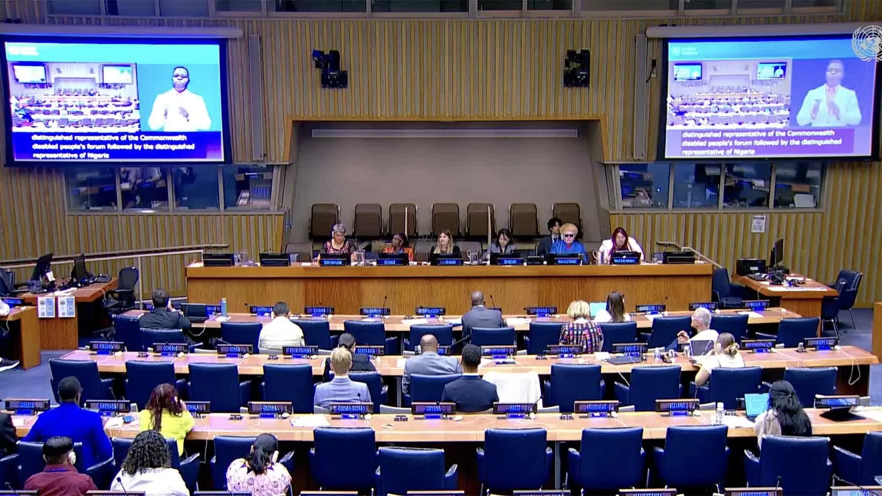 Vietnam, United Nations affirm commitment to protection and promotion of the rights of persons with disabilities