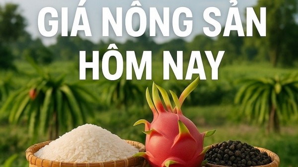 Giá nông sản hôm nay 11/6/2026: Giá cà phê bất ngờ đảo chiều, khả năng tăng mạnh trở lại? OPEC+ không còn đủ sức cứu giá dầu