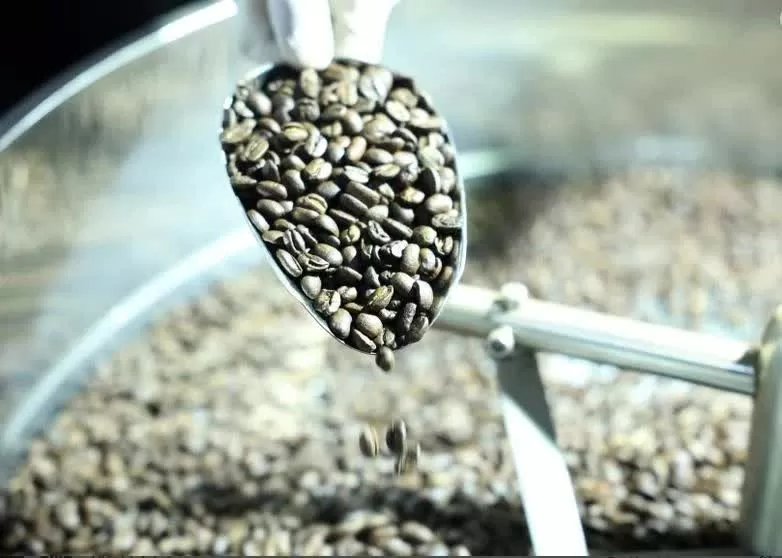 Vietnam seeks to expand its processed coffee market Vietnam seeks to expand its processed coffee market