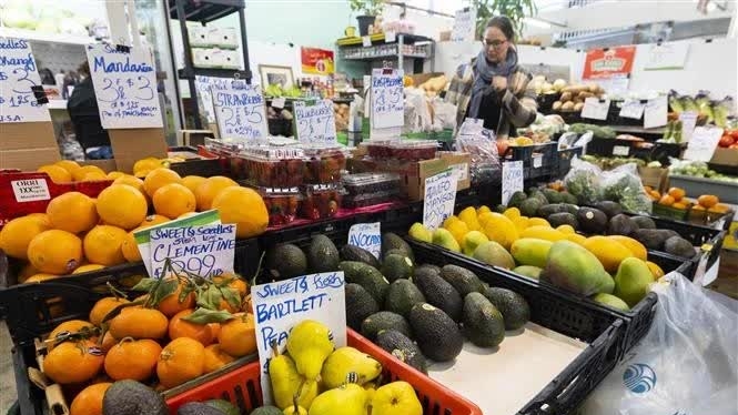 Vietnam’s exports to Canada continued to grow strongly in the first quarter of 2025