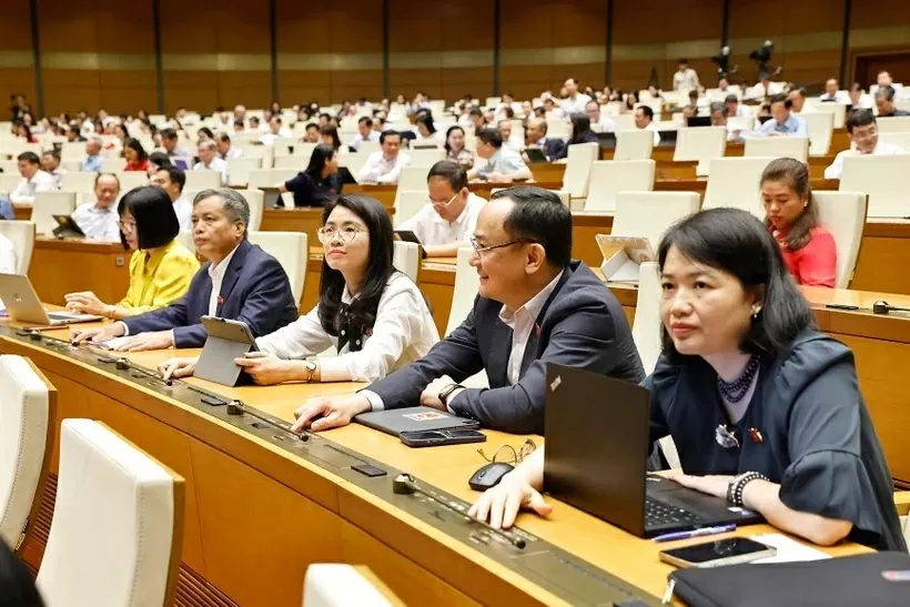 National Assembly passes amended laws on corporate income tax, excise tax at 9th session National Assembly passes amended laws on corporate income tax, excise tax at 9th session