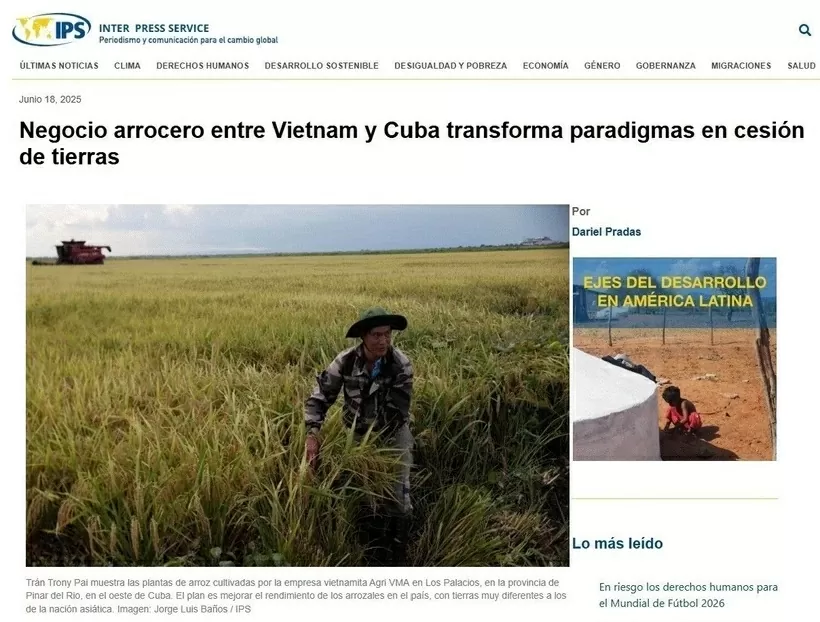 Vietnam–Cuba rice partnership sets new model for sustainable food security: Cuba’s Inter Press Service Vietnam–Cuba rice partnership sets new model for sustainable food security: Cuba’s Inter Press Service