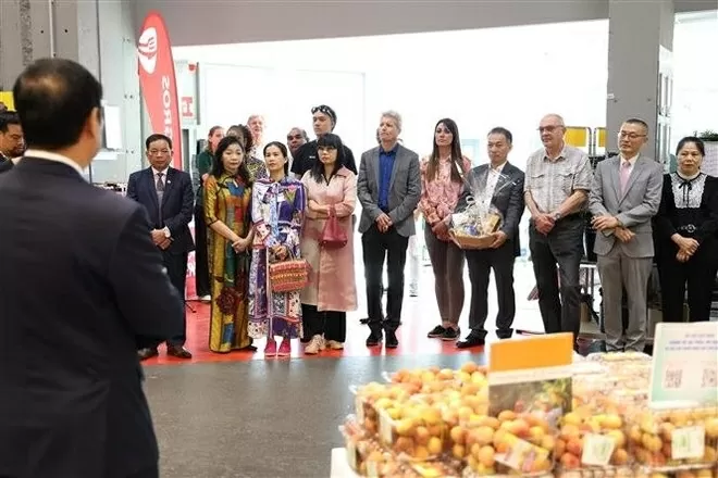 Vietnamese Goods Day promotes Bac Giang lychees in Germany, expanding the presence of Vietnamese products