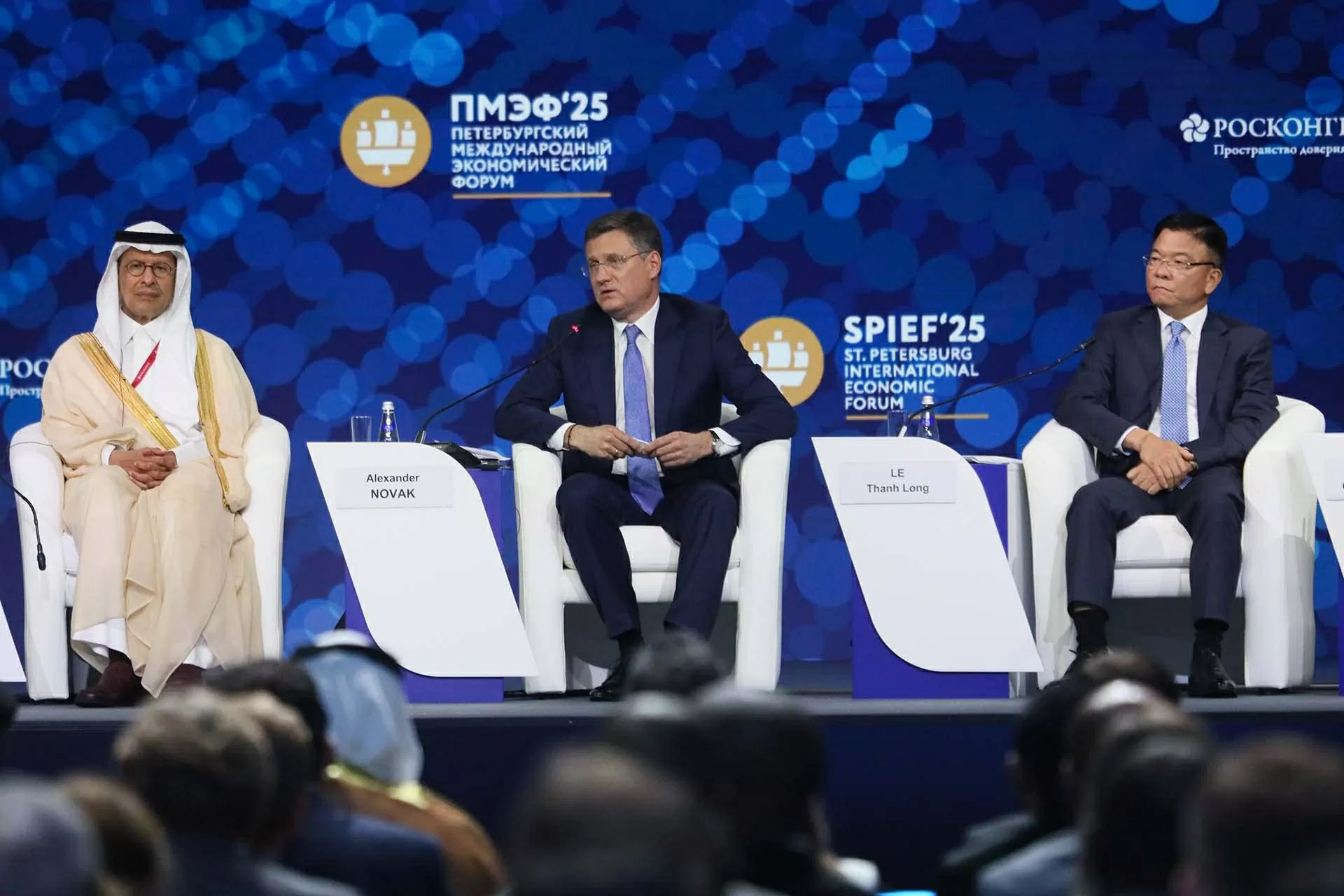 Deputy Prime Minister Le Thanh Long attends St. Petersburg International Economic Forum in Russia