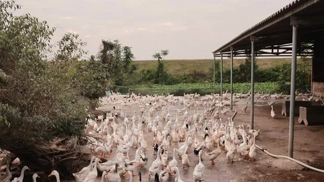 Government increases unsecured loan cap for farmers to 12,000 USD from July