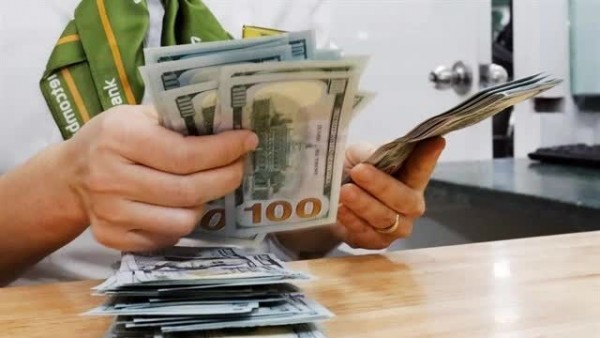 Reference exchange rate at 25,028 VND, slightly drops at week’s beginning