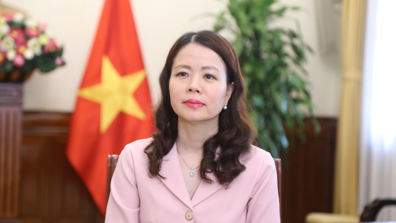 Vietnam actively promotes solutions to regional, global economic, development issues: Deputy FM
