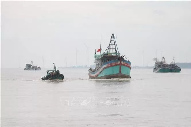 Ben Tre steps up efforts to fight IUU fishing Ben Tre steps up efforts to fight IUU fishing