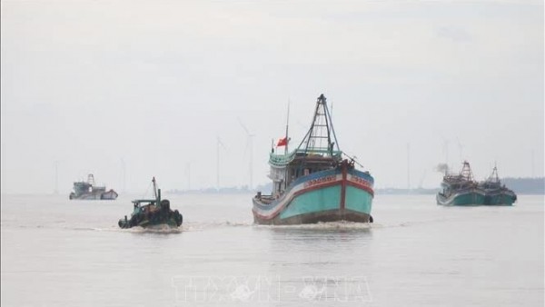 Ben Tre southern province steps up efforts to combat IUU fishing