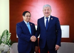 Prime Minister Pham Minh Chinh meets with Kyrgyz Prime Minister on WEF Tianjin occasion