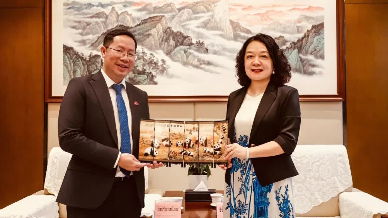 Vietnam, China’s Sichuan Province enhance cooperation and exchanges: Consul General