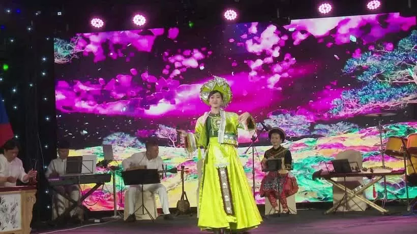 Vietnamese culture shines in Czech Republic