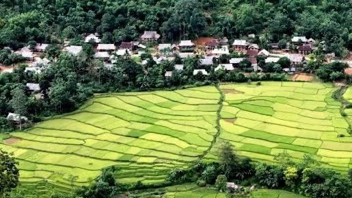 Pu Luong Nature Reserve draws increasing numbers of trekkers