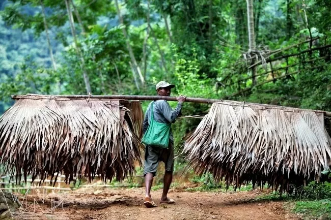 To protect biodiversity, local people only collect dried products from the forest to serve their lives. (Photo: VNA)