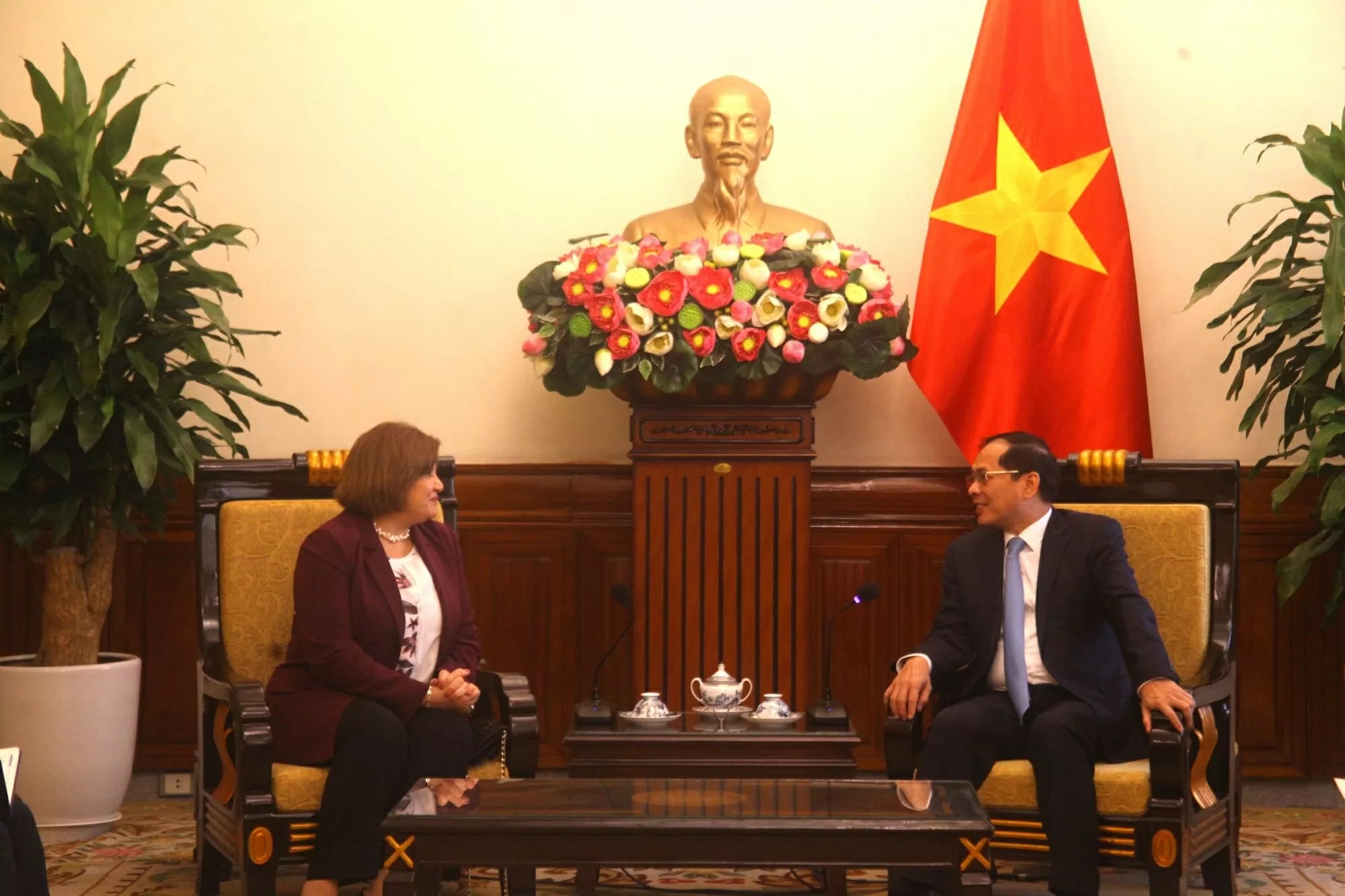 Deputy PM and Minister of Foreign Affairs Bui Thanh Son receives Egyptian Ambassador Amal Abdel Kader Elmorsi Salama for a farewell visit