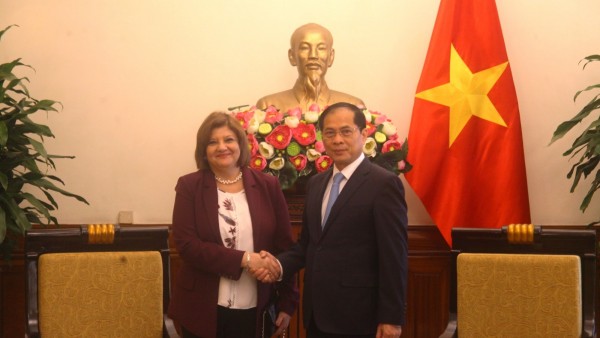 Deputy PM and Minister of Foreign Affairs Bui Thanh Son receives Egyptian Ambassador Amal Abdel Kader Elmorsi Salama for a farewell visit