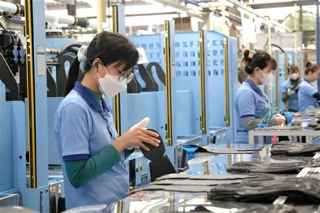 Workers of TKG Tae Kwang Can Tho Co Ltd during working hours. The government aims to have all administrative procedures related to businesses handled entirely online by the end of this year. (Photo: VNA)