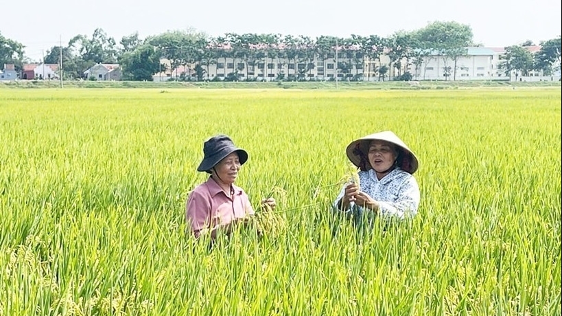 Experts highlight biotechnology as driver of sustainable agricultural production