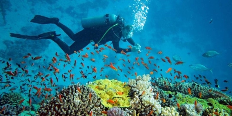Vietnam ramps up marine safeguards to support eco-friendly tourism