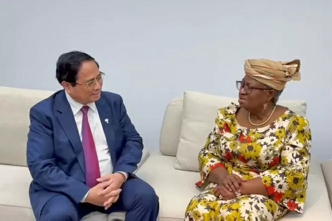 Prime Minister Pham Minh Chinh meets with world leaders on occasion of BRICS Expanded Summit in Rio de Janeiro