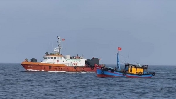 Dong Thap province enhances efforts to fight IUU fishing
