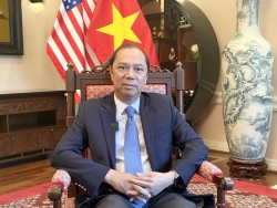 80 years of Vietnamese diplomacy: A proud and ever-fresh journey