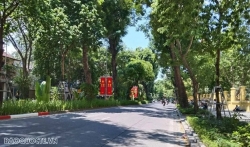 Hanoi sets up public viewing infrastructure for 80th Independence Day celebrations
