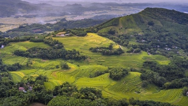 Mien Doi’s terraced fields hold untapped tourism promise