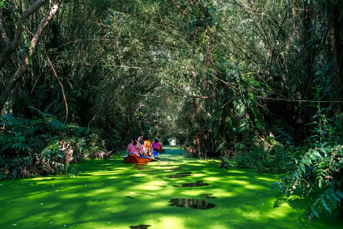 Stepping back into pure memories Stepping back into pure memories