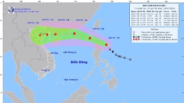 Deputy Minister calls for urgent preparations as Wipha storm forecast to hit Vietnam's mainland