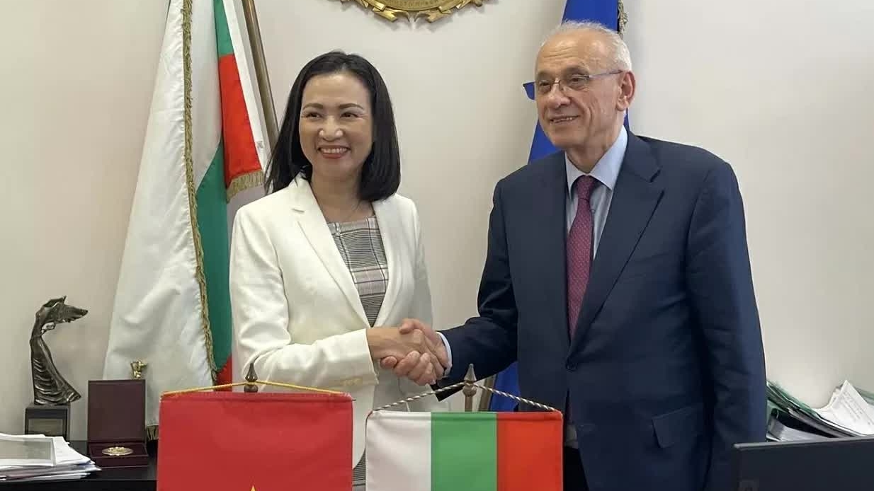 Bulgarian Ministers support cooperation with Vietnam in human resources and health: Ambassador