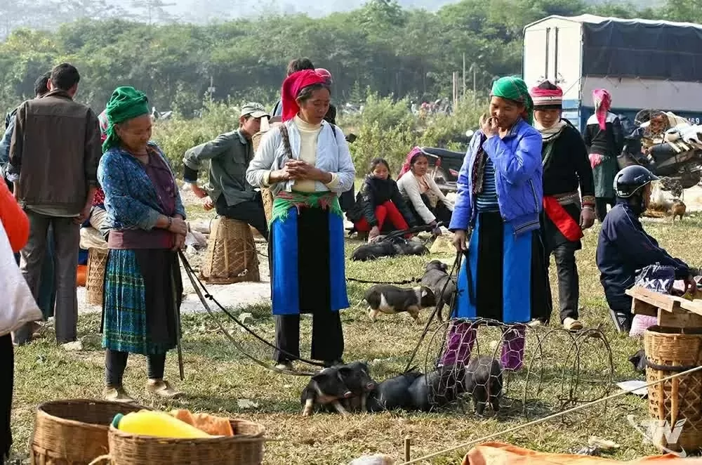 Mountain Market – A harmony of ethnic communities  in Thai Nguyen province