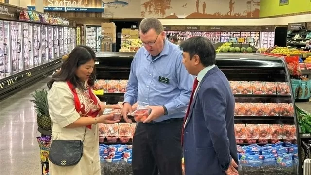 Vietnamese lychees on shelves of US retail giant Costco for the first time: Trade Office