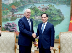 Deputy PM Bui Thanh Son receives Cuban Deputy FM Gerardo Penalver Portal to strengthen bilateral ties
