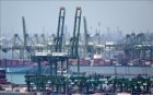 Vietnam – Singapore trade gains impressive growth in first half of 2025: Trade Office