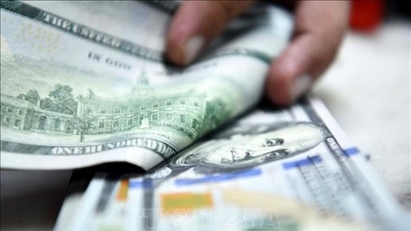 Reference exchange rate at 25,164 VND/USD, down 2 VND on July 25