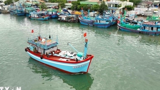 Prime Minister Pham Minh Chinh Issues Directive to Intensify Efforts Against IUU Fishing