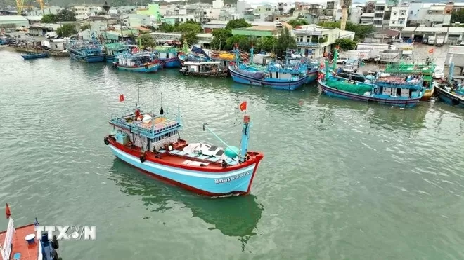 Prime Minister Pham Minh Chinh Issues Directive to Intensify Efforts Against IUU Fishing Prime Minister Pham Minh Chinh Issues Directive to Intensify Efforts Against IUU Fishing