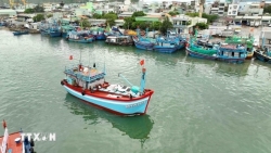 Prime Minister Pham Minh Chinh Issues Directive to Intensify Efforts Against IUU Fishing